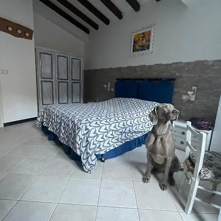 Il Dolce Dormire Da Elisa E Giulia Appartamento Ranzo-Borgo